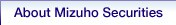 About Mizuho Securities