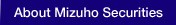 About Mizuho Securities