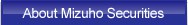 About Mizuho Securities