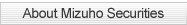About Mizuho Securities