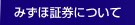 みずほ証券について