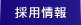 採用情報