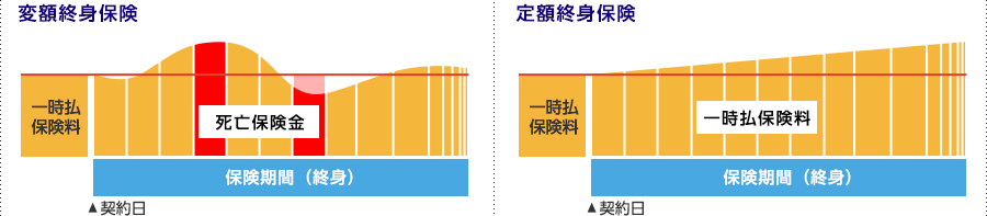 変額終身保険 定額終身保険