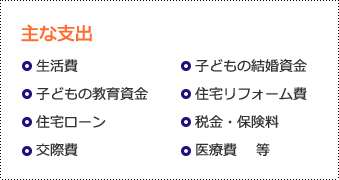 主な支出