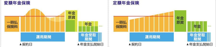 変額年金保険 定額年金保険