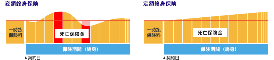 変額終身保険 定額終身保険