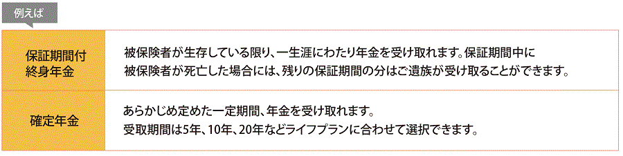 変額終身保険 定額終身保険